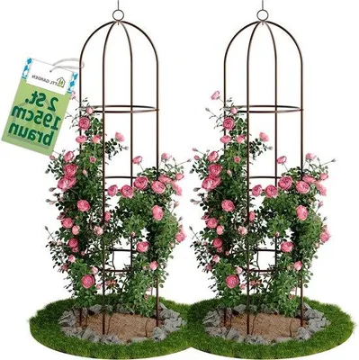 Produktbild von Famanu Rankobelisk 195 cm - Set von 2, braun, für Kletterpflanzen