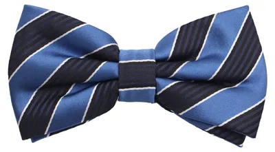 Produktbild von Fabio Farini - 1 Stück Herren Streifen Fliegen - Männer Querbinder Vorgebunden Bowtie Streifen - Blau/Schwarz/Weiß