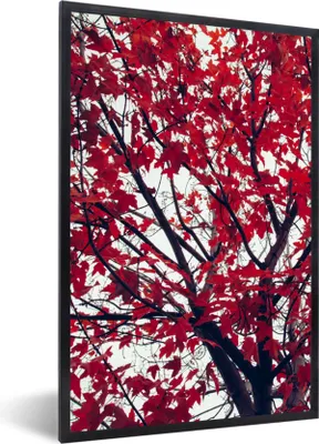 Produktbild von MuchoWow® Gerahmtes Poster Ahorn - Blätter - Herbst - Natur 40x60 cm - Poster mit Schwarzem Bilderrahmen Wandposter Rahmen Foto Bilder - Papierdruck - Wandbilder