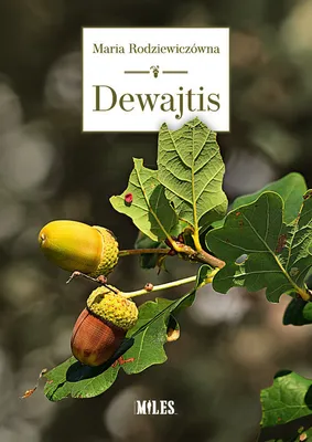 Immagine prodotto di Dewajtis - Maria Rodziewiczówna (Literatur, Roman auf Polnisch)