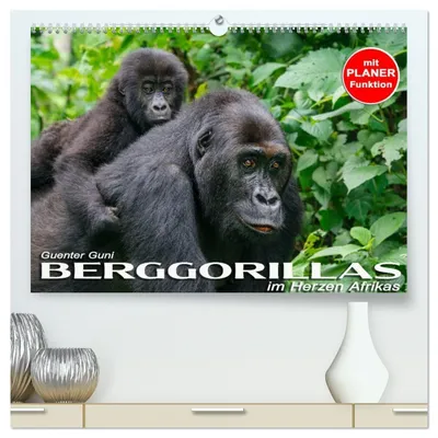 Produktbild von Berggorillas im Herzen Afrikas (hochwertiger Premium Wandkalender 2027 DIN A2 quer), Kunstdruck in Hochglanz