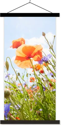 Produktbild von MuchoWow® Textilposter Blumen - Mohn - Frühling - Natur - Rot - Blau 40x80 cm mit schwarzem Rahmen - Wandemalerei