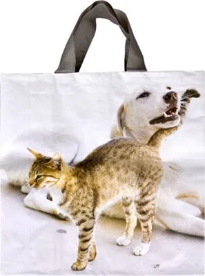 Image de Sac PÁV 35x35x20cm PH mélange de couleurs