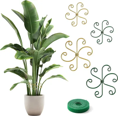 Imagen del producto de Soportes metálicos para plantas, juego de 4 unidades, de 10,5 cm y 14,5 cm, para plantas de interior