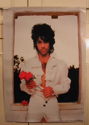 Obrázok produktu pre Prince - Rôža - Plagát - 61x86 cm