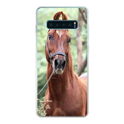 Produktbild von MuchoWow® Handyhülle Schutzhülle Hülle für Samsung Galaxy S10 Plus Pferd - Wald - Halfter Silikon Softcase Handy Hülle - Schutzhülle