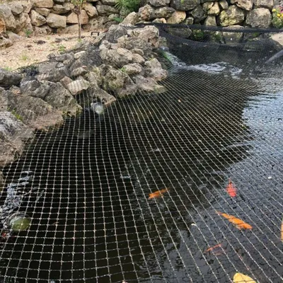 Produktbild von AquaOne Teichnetz feinmaschig 6x10m I Teichabdeckung für laubfreien Teich I vielseitiges Netz in schwarz I Abdecknetz mit 24 Spießen I Schutznetz für Gartenteich