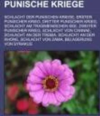 Produktbild von Punische Kriege
