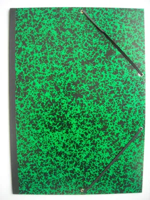 Zdjęcie produktu dla EXACOMPTA 532000E Teczka rysunkowa EXACOMPTA "Annonay", 320 x 450 mm