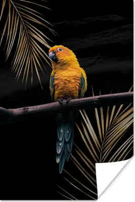 Produktbild von MuchoWow® Poster Papagei - Farn - Zweig 20x30 cm - Papierdruck