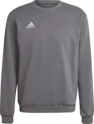 Produktbild von adidas Entrada 22 Sweatshirt XS TEGRFO
