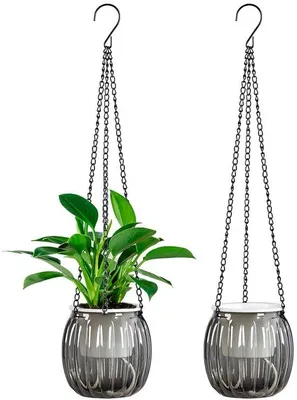 Produktbild von Hängepflanzenschalen, transparente, graue, kettengestützte Pflanzenschalen, Set von 2, 9,5 cm