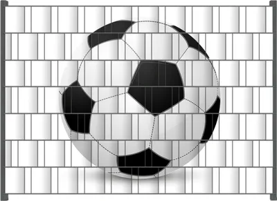 Produktbild von Wallario Zaunsichtschutz mit Motiv Fußball klassisch vor weißem Hintergrund für Ein- und Doppelstabmatten Zäune in der Größe 200 x 140 cm