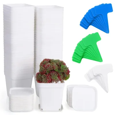 Zdjęcie produktu dla Donice plastikowe, kwadratowe, 7 cm, białe, z podstawką i etykietami, zestaw 60 sztuk