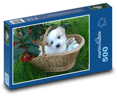 Obrázek produktu pro martinpuzzle - Puzzle 500 - Štěně v košíku