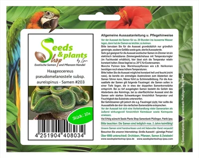Produktbild von 10x Haageocereus pseudomelanostele subsp. aureispinus - Samen #203