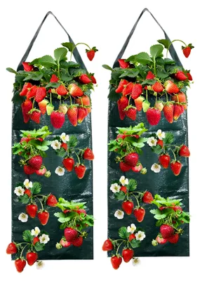 Produktbild von 2 Stück hängende Pflanzsäcke für Erdbeeren, Tomaten und Gemüsepflanzen mit 8 Löchern für den Außenbereich