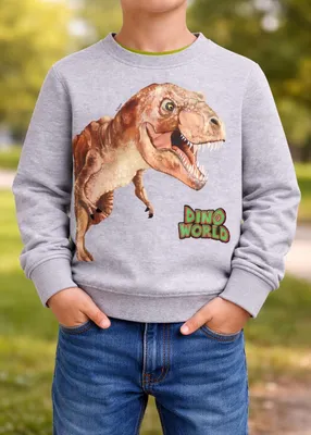 Produktbild von 83674 Dino Welt Jungen Sweatshirt Grau Gr. 98 – Kinder Pullover