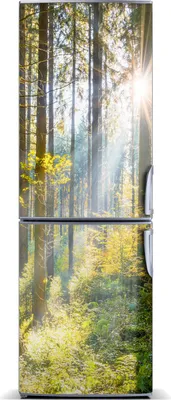 Produktbild von Tulup Kühlschrankdekoration - Magnetmatte - 60 cm x 180 cm - Magnet auf dem Kühlschrank - Sun Im Wald