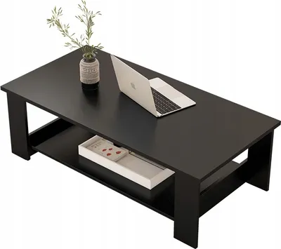 A black coffee table with a shelf, a laptop, and a vase with plants on it.