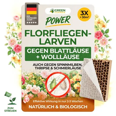 Produktbild von Power Florfliegenlarven gegen Blattläuse und Wollläuse – 3 Waben für 30 m²- Mittel zur Wollläuse Bekämpfung für Zi.Pflanzen & Cannabis, GREEN GUARDIA
