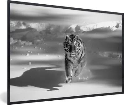 Produktbild von MuchoWow® MuchoWow® Gerahmtes Poster Tiger - Jagd - Schnee - Schwarz - Weiß 90x60 cm - Poster mit zchwarzem Bilderrahmen - Fotorahmen - Foto-Plakat