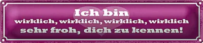 Produktbild von Blechschild Spruch 46x10cm bin wirklich froh dich zu kennen Dekoration