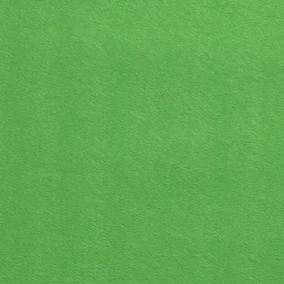 Produktbild von Filz Phillip 3mm Apfel 450 g/m², 0,25m, Stoffe Meterwaren, Bastelfilz