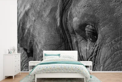Produktbild von MuchoWow® Fototapete für Wohnzimmer oder Schlafzimmer Wandtapete Vinyl Motivtapete Schwarz-weiße Nahaufnahme eines Elefanten - 360x240 cm - Vinyl-Tapete