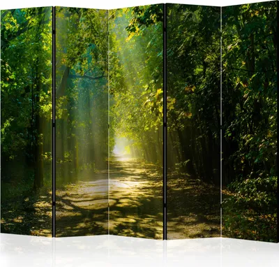 A room divider depicting a sun-dappled forest path.