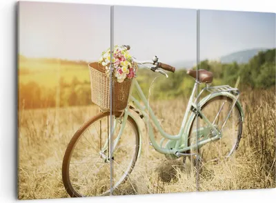 Produktbild von Bild auf Leinwand - Leinwandbild - 3 Teile - Fahrrad Wiese Blumen - 105x70cm - Wand Bild - Wanddeko - Wandbilder - Leinwanddruck - Bilder - Wanddekoration - Leinwand bilder - Wandbild - CE105x70-4206