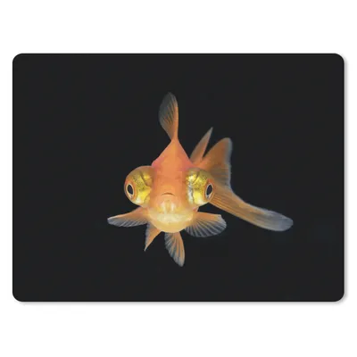 Produktbild von MuchoWow® Mauspad Mousepad Goldfisch - Meerestiere - Augen 40x30 cm - Mousepads - Maus Mat - Pad - Mausunterlage - Anti Rutsch