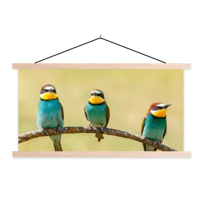 Produktbild von MuchoWow® Textilposter Vögel - Tiere - Bienenfresser 120x60 cm mit holzfarbenen Rahmen - Klemmleiste