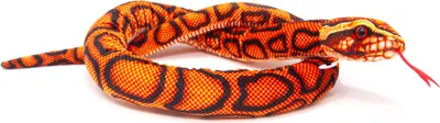 A plush toy snake coiled on a white background.