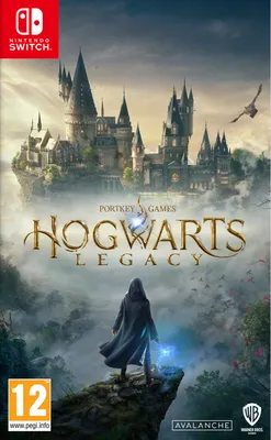 Zdjęcie produktu dla Warner Bros Hogwarts Legacy, Nintendo Switch, Powyżej 13 lat