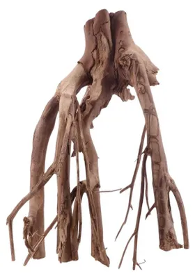 Produktbild von XL Aquarium Wurzel 40x40x60 cm – filigran, gradlinige Verzweigungen, nicht vorgewässert, Unikat für Aquascaping