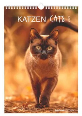 Produktbild von Katzen 2027: Wandkalender 23,7x34 cm mit Katzenmotiven, 4-sprachigem Kalendarium und Platz für Notizen
