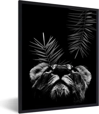 Produktbild von MuchoWow® Gerahmtes Poster Tiger schaut auf und steht vor einem schwarzen Hintergrund - schwarz und weiß 30x40 cm - Poster mit Schwarzem Bilderrahmen Wandposter Rahmen Foto Bilder - Wanddeko - Kunstdrucke