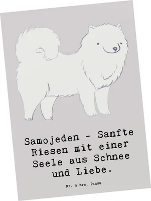 Produktbild von Mr. & Mrs. Panda Postkarte Samojede Liebe - Grau Pastell - Geschenk, Postkarten, Hunderassen Eigenschaften, Ansichtskarten, liebevolle Hunde, Hunderasse, intelligente