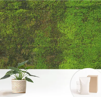 Zdjęcie produktu dla Fototapeta samoprzylepna – 152 x 104 cm – tapeta – tapeta ścienna – obrazy ścienne – folia samoprzylepna – folia dekoracyjna – tapeta foliowa – ściana – dekoracja – salon – zielony dywan