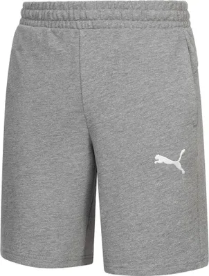 Produktbild von Puma Teamgoal Sweatshorts Herren - Hellgrau Meliert