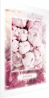 Produktbild von Posterpapier Poster - Spring Delicacy 60x90 cm Blumen b-C-0578-ao-a