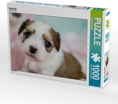 Produktbild von CALVENDO Puzzle Kuckuck | 1000 Teile Lege-Größe 64x48cm Foto-Puzzle für glückliche Stunden