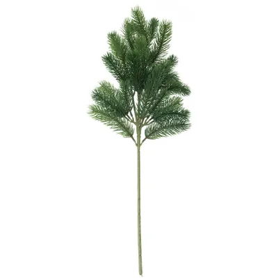 Immagine prodotto di EUROPALMS Ramo di abete, PE, 65 cm