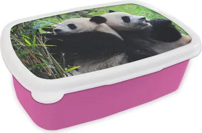 Produktbild von KitchenYeah® Lunchbox Brotzeit Brotdose 17x11 cm Panda - Bambus - Natur Kinder Brotzeitdose - Lunchpaket - Brotkasten  - Sandwich Box