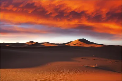 Produktbild von Wallario selbstklebendes Poster - Sahara Wüste II - Sanddünen im Sonnenuntergang, Größe: 61 x 91,50 cm