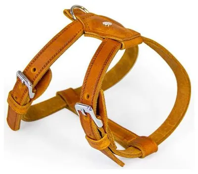 Produktbild von Das Lederband Geschirr Weinheim Maroon, Halsumfang: 32-36 cm