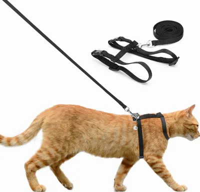 Produktbild von H-Geschirr Katze Schwarz Verstellbar Weich Bequem