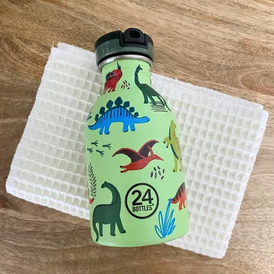Image de Gourde KIDS 250 ml - Jurassic friends | 24 Bottles