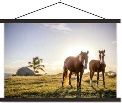 Produktbild von MuchoWow® Textilposter Pferde - Sonne - Gras 90x60 cm mit schwarzem Rahmen - Aufhängungssatz